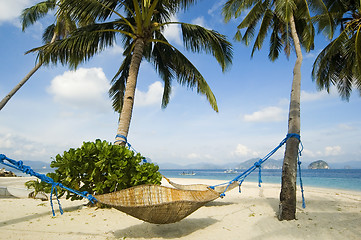 Image showing Hammock