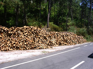 Image showing Timber by the road