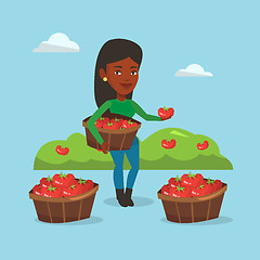 Image showing Farmer collecting tomatos vector illustration.