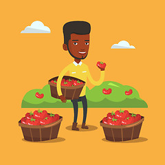 Image showing Farmer collecting tomatos vector illustration.