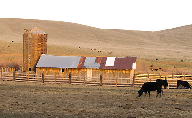 Image showing Sunset Rural Hills Cattle Ranch Farm Agriculture Barn Silo