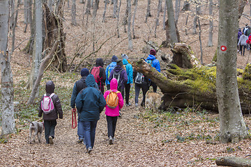 Image showing Group of young people walking by hiking trail