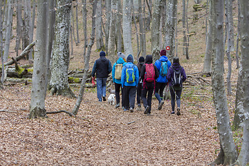 Image showing Group of young people walking by hiking trail