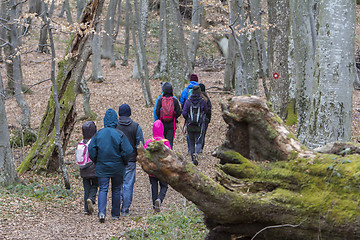 Image showing Group of young people walking by hiking trail