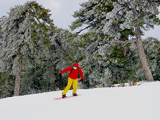 Image showing Ski. Troodos. Cyprus