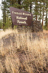 Image showing Fremont-Winema National Forests Oregon State United States 