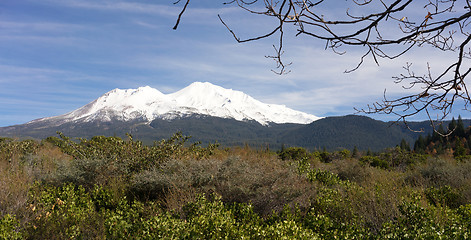 Image showing HIgh Ridge Snow Covered Mountain Cascade Range Mt Shasta