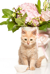 Image showing The cat on white background with flowers