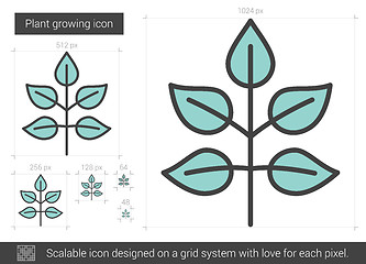 Image showing Plant growing line icon.