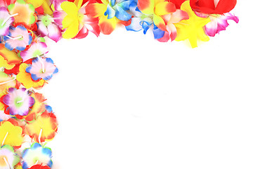 Image showing color plastic hawaii flowers background