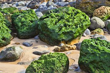 Image showing Green stones on the seashore