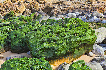 Image showing Green stones on the seashore