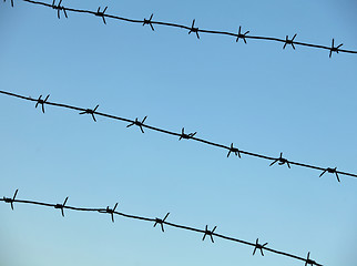 Image showing  sharp barbed wire fence