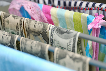 Image showing Wet dollars