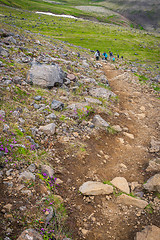 Image showing Hiking at Esja mountain during summer in Iceland