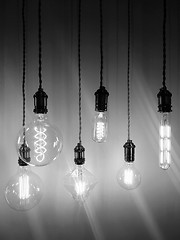 Image showing Industrial style light bulbs of different shapes