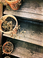 Image showing Dry plants in pots on old wooden staircase