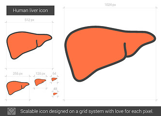 Image showing Human liver line icon.