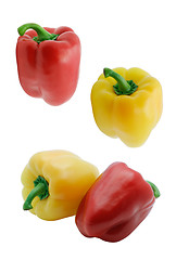 Image showing Paprika