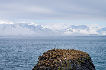 Image showing Snaefellsnes peninsula landscape, Iceland