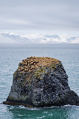 Image showing Snaefellsnes peninsula landscape, Iceland