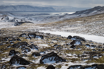 Image showing Beautiful winter landscape in Iceland