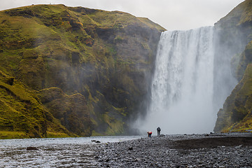 Image showing Skogafoss waterfall, Iceland