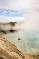 Image showing Mineral Pool Geothermal Spring Yellowstone National Park Wyoming