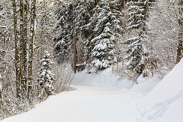 Image showing Winter Footpath