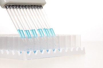 Image showing Pipetting - dispensing fluid