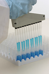 Image showing Laboratory worker using pipette.