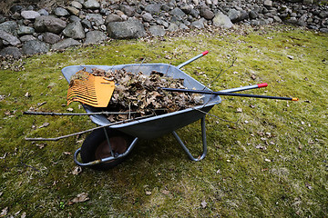 Image showing garden wheelbarrow with leaves