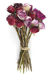 Image showing bouquet of dried roses on a white