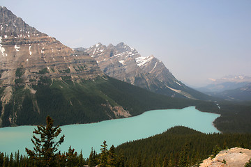 Image showing Peyto Lake