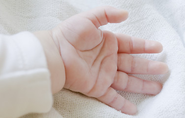 Image showing Cute Baby Hand