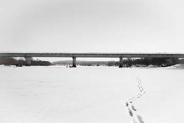 Image showing bridge on the river