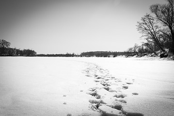 Image showing footprints in the snow