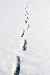 Image showing footprints in the snow