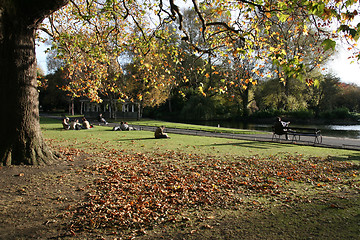 Image showing Autumn in park