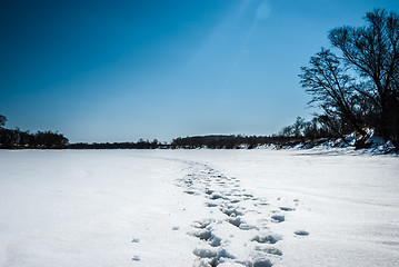 Image showing footprints in the snow