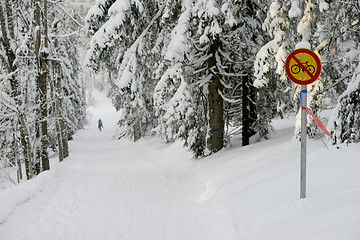 Image showing sign bicycle traffic is prohibited in the winter forest