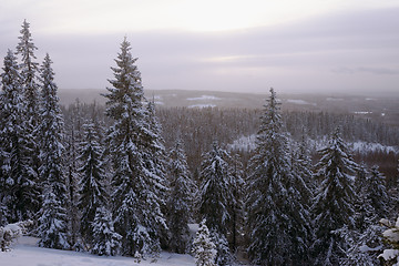 Image showing winter forest, snowdrifts and trees, Finland