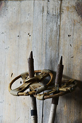 Image showing old vintage ski poles, wooden background