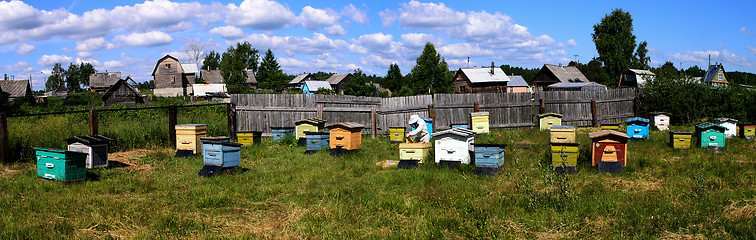 Image showing beekeeper hives in the apiary checks