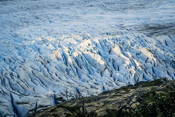 Image showing Permanent glaciers in Chile