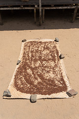 Image showing drying flower buds from clove spice