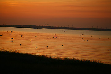 Image showing Summer in Djursland - Denmark