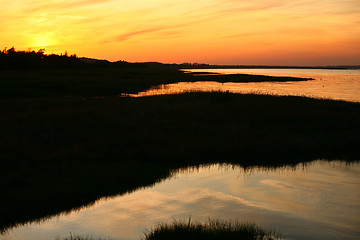 Image showing Summer in Djursland - Denmark