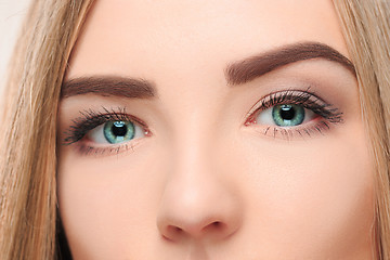 Image showing cThe lose-up face of pretty girl with beautiful big blue eyes