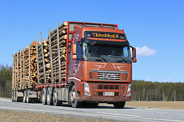 Image showing Brown Volvo FH Hauls Timber on Beautiful Day